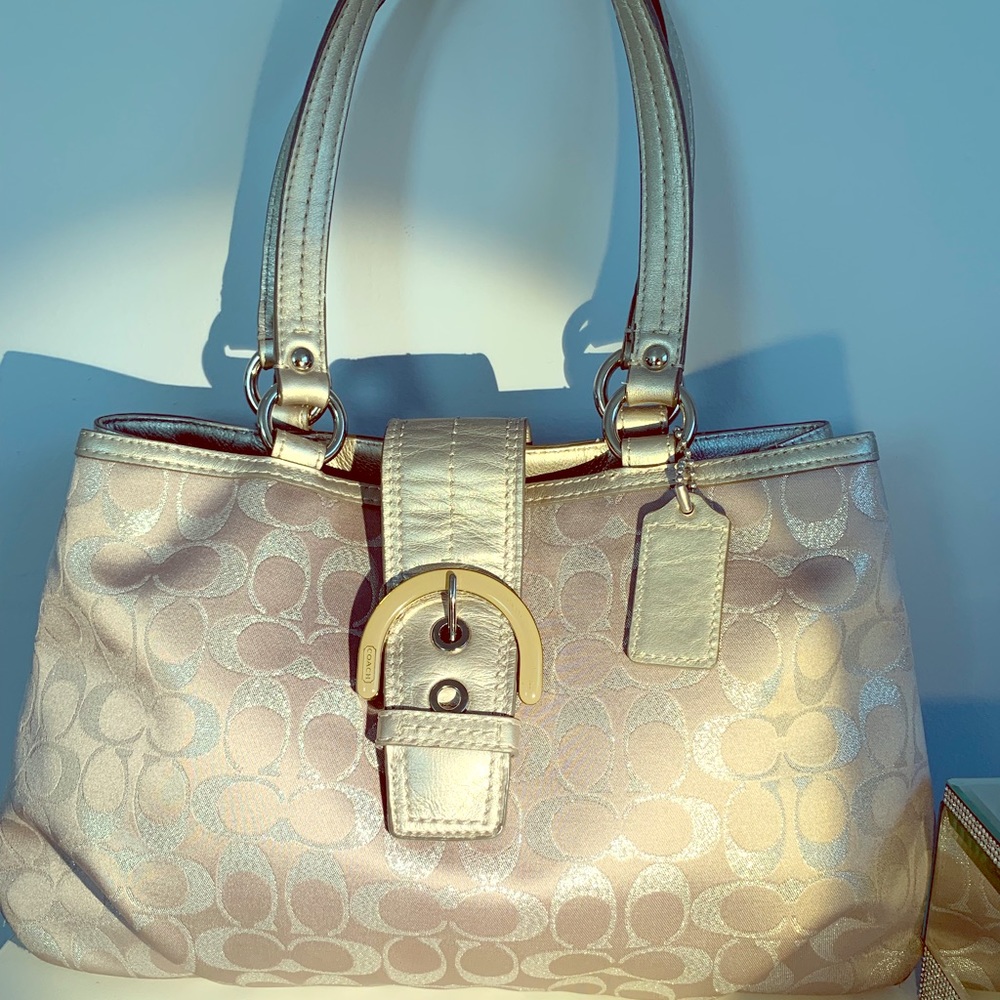 Elegant, beautiful Coach bag/tote